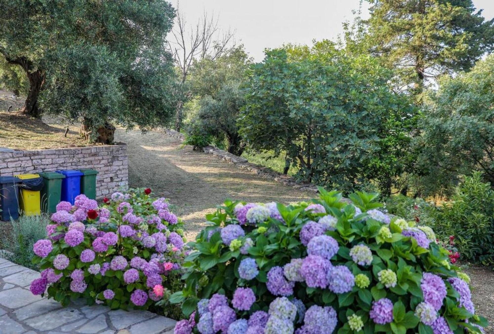 Sinies Stone Cottage - Ne Corfu Agnítsini Eksteriør billede